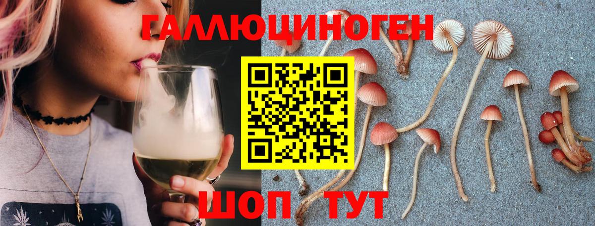 Миллерово  Псилоцибиновые грибы Cubensis  Вход с VPN  Псилоцибиновые грибы ЛСД 